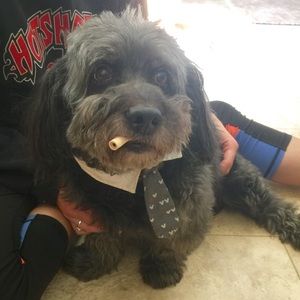 Meet your Posher, Ashli